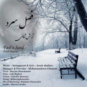 Arash Shafaiee   Fasle Sard 1584980707 300x300 - دانلود آهنگ آرش شفائی به نام فصل سرد