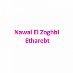 Nawal El Zoghbi    Etharebt 300x300 - دانلود آهنگ عربی  اتحاربت  از  نوال الزغبی